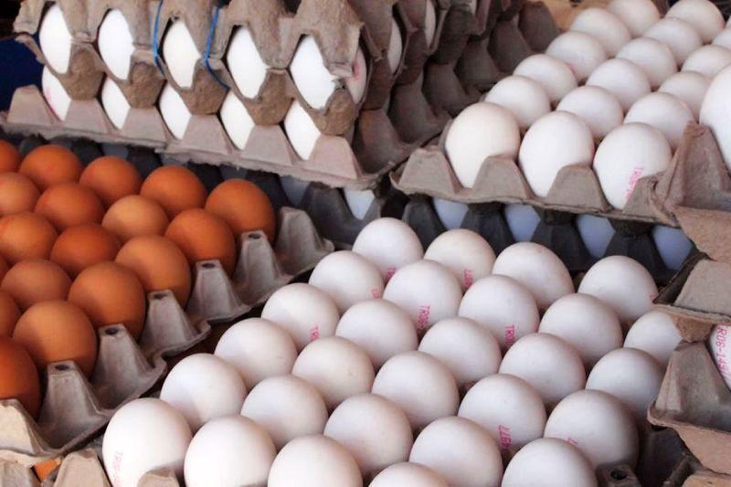 قیمت هر شانه تخم مرغ 11 هزار تومان بالاتر از نرخ مصوب