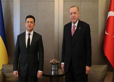 رؤسای جمهور ترکیه و اوکراین ملاقات کردند