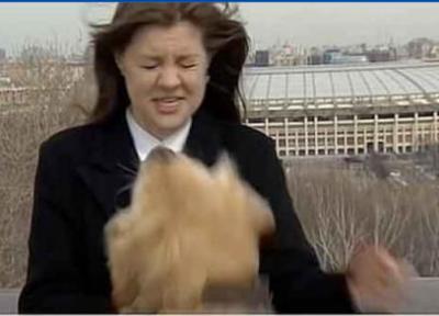 (ویدئو) یک سگ میکروفون خبرنگار را هنگام پخش زنده ربود!