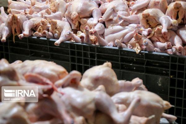خبرنگاران نوید حل مشکل کمبود مرغ در بازار فارس داده شد