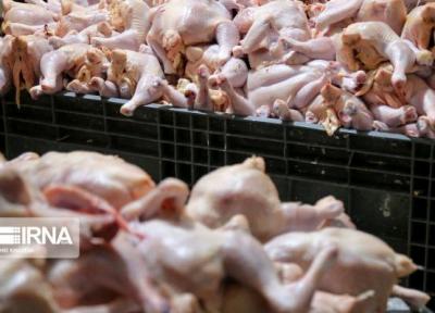 خبرنگاران نوید حل مشکل کمبود مرغ در بازار فارس داده شد