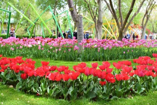 طراحی ویلا: برپایی جشنواره نوروزی لاله ها در باغ گل های کرج