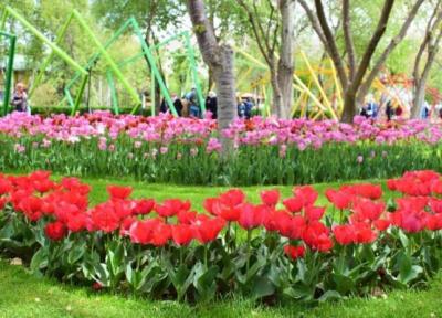 طراحی ویلا: برپایی جشنواره نوروزی لاله ها در باغ گل های کرج
