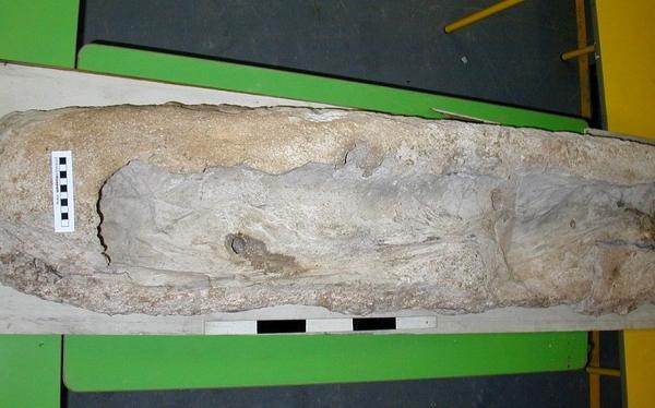 اجساد 1700 ساله ای که در دوغاب گچ دفن شده بودند